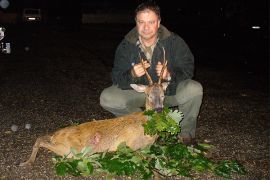 Browse a selection of Fallow deer hunting in Bulgaria. Direct offers from outfitters in Hunting area Даме Груев Сливен 8803 on bghunters.com & Bulgaria Hunting Trips, улица Дели Ради 8, община Сливен, област Сливен, п.к.8803.