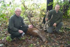 Browse a selection of Red deer hunting in Bulgaria. Direct offers from outfitters in Hunting area Гложене 5740 on bghunters.com & Bulgaria Hunting Trips, Гложене, община Тетевен, област Ловеч, п.к.5740.