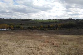 Browse a selection of Fallow deer hunting in Bulgaria. Direct offers from outfitters in Hunting area Желязковец 7455 on bghunters.com & Bulgaria Hunting Trips, Желязковец, община Самуил, област Разград, п.к.7455.