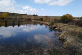 Browse a selection of Fallow deer hunting in Bulgaria. Direct offers from outfitters in Hunting area Соколаре 3258 on bghunters.com & Bulgaria Hunting Trips, улица Петко Коташки 40, център, Соколаре, община Бяла Слатина, област Враца, п.к.3258.