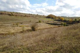 Browse a selection of Fallow deer hunting in Bulgaria. Direct offers from outfitters in Hunting area Тополовград on bghunters.com & Bulgaria Hunting Trips, 40 Lomsko Shose Street, Nadezhda 2, Sofia, Bulgaria, postcode 1220.
