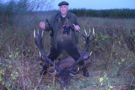 Red deer hunting trips in Bulgaria. Red stag - included trophy - bronze or silver medal. Direct offer from outfitters in Bulgaria on bghunters.com & Bulgaria Hunting Trips, 40 Lomsko Shose Street, Nadezhda 2, Sofia, Bulgaria, postcode 1220.