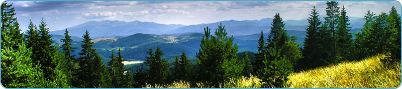 Durchsuchen Sie eine Auswahl an Jagdreisen in Bulgarien. Direkte Angebote von Ausrüstern im Jagdgebiet in Байкушева махала Перник 2301 - bghunters.com & Bulgaria Hunting Trips, улица Битоля 1, кв Байкушева махала, Перник, община Перник, област Перник, п.к.2301.