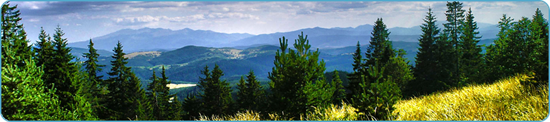 Browse a selection of Hunting trips in Europe. Direct offers from outfitters in Hunting area Разсадника-Коньовица София 1330 on bghunters.com & Bulgaria Hunting Trips, улица Рибен буквар 2, жк Разсадника-Коньовица, София, район Красна поляна, Столична община, София град, п.к.1330.