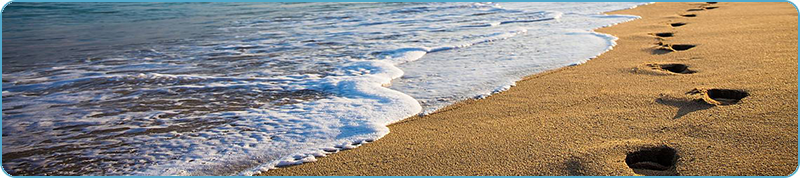 Browse a selection of Hunting trips in Europe. Direct offers from outfitters in Hunting area Крапчене 3434 on bghunters.com & Bulgaria Hunting Trips, улица Клокотница 2, център, Крапчене, община Монтана, област Монтана, п.к.3434.