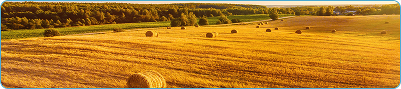 Browse a selection of Hunting trips in Europe. Direct offers from outfitters in Hunting area Разсадника-Коньовица София 1330 on bghunters.com & Bulgaria Hunting Trips, улица Рибен буквар 2, жк Разсадника-Коньовица, София, район Красна поляна, Столична община, София град, п.к.1330.